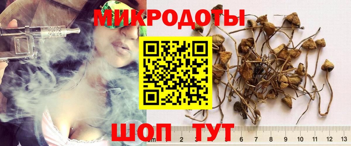 Галлюциногенные грибы прущие грибы  Вход с VPN  Псилоцибиновые грибы Magic Shrooms  Лесосибирск 